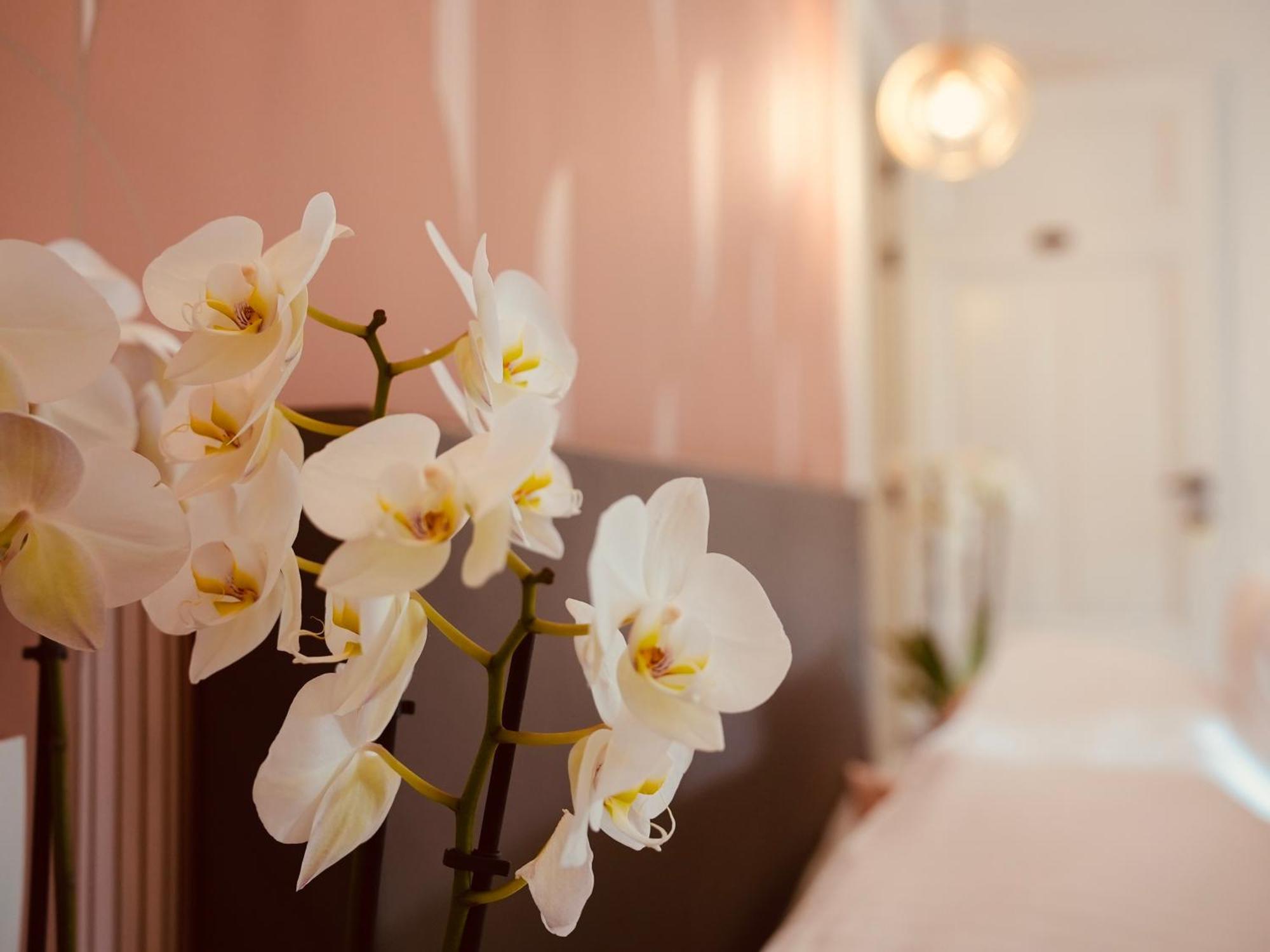 L'Amarante Chambres D'Hotes Ou Gite Citadin Theux Buitenkant foto